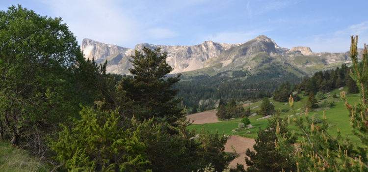 Du Champsaur au Dévoluy