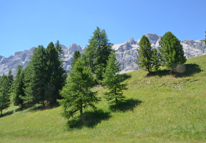 Ceillac – Envie de solitude