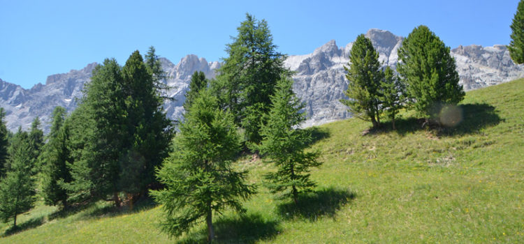 Ceillac – Envie de solitude