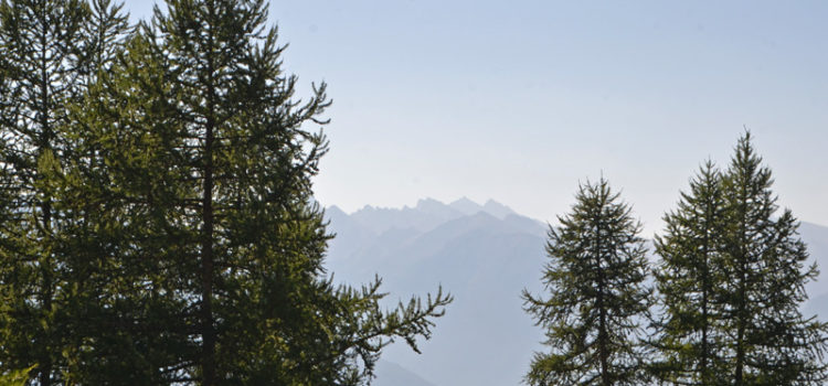 Le silence de la montagne