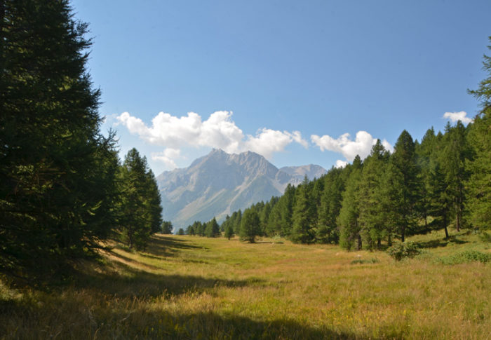 Montée au col d&rsquo;Anon