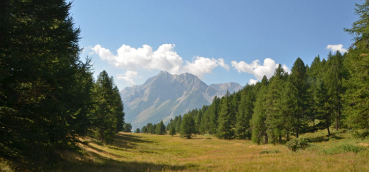 Montée au col d&rsquo;Anon