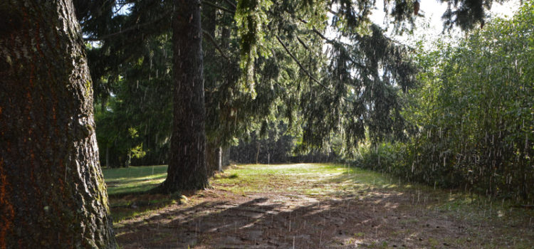 Entre pluie et soleil