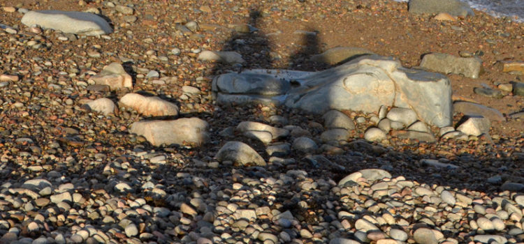 Quand les chemins se séparent