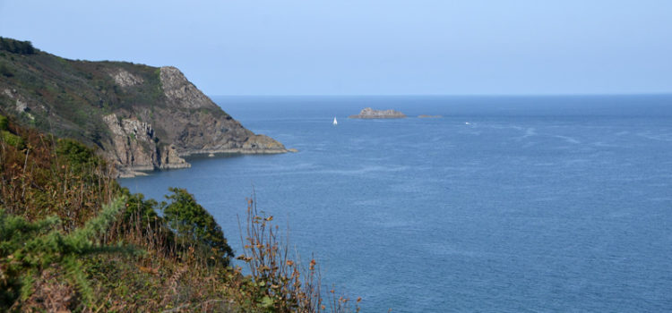 Les chemins buissonniers