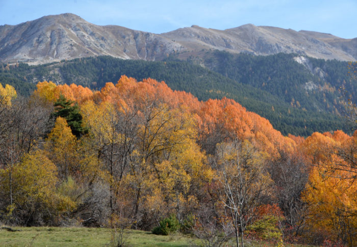 Des couleurs à foison