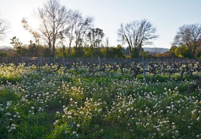 Le Luc-en-Provence