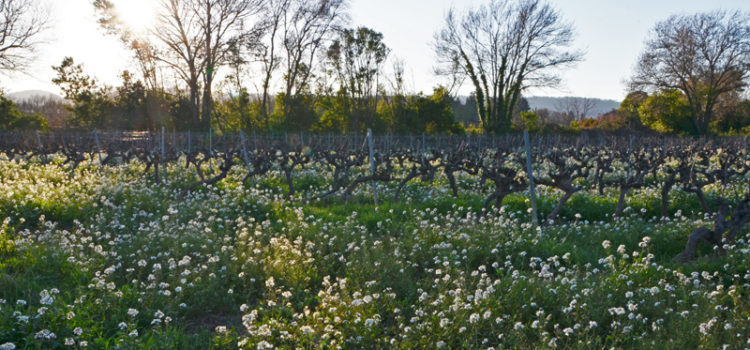 Le Luc-en-Provence