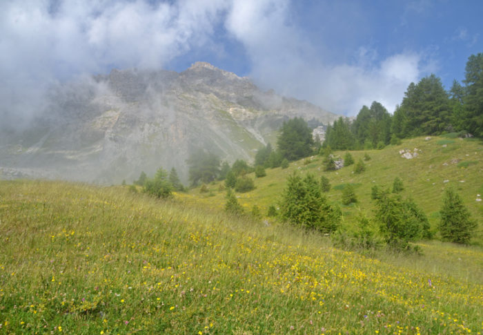 En camping à Freissinières