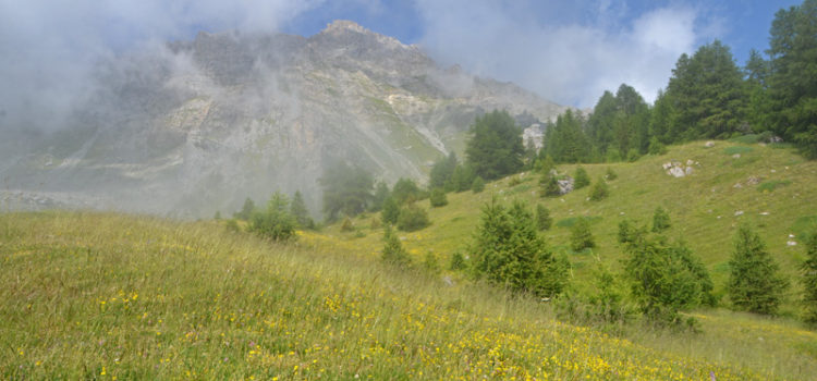 En camping à Freissinières