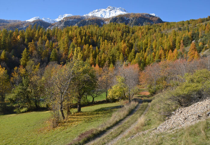 Quand la montagne se teinte d&rsquo;or