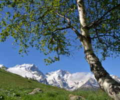 La montagne s&rsquo;ensoleille