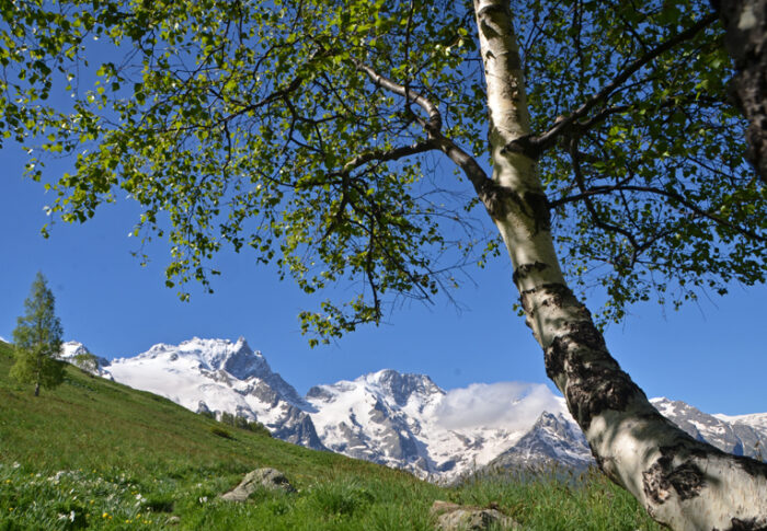 La montagne s&rsquo;ensoleille