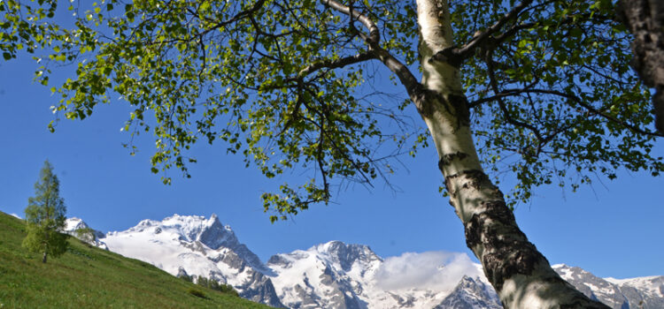 La montagne s&rsquo;ensoleille