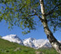 La montagne s&rsquo;ensoleille