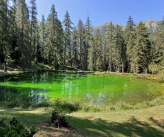 A l&rsquo;encre de ma joie